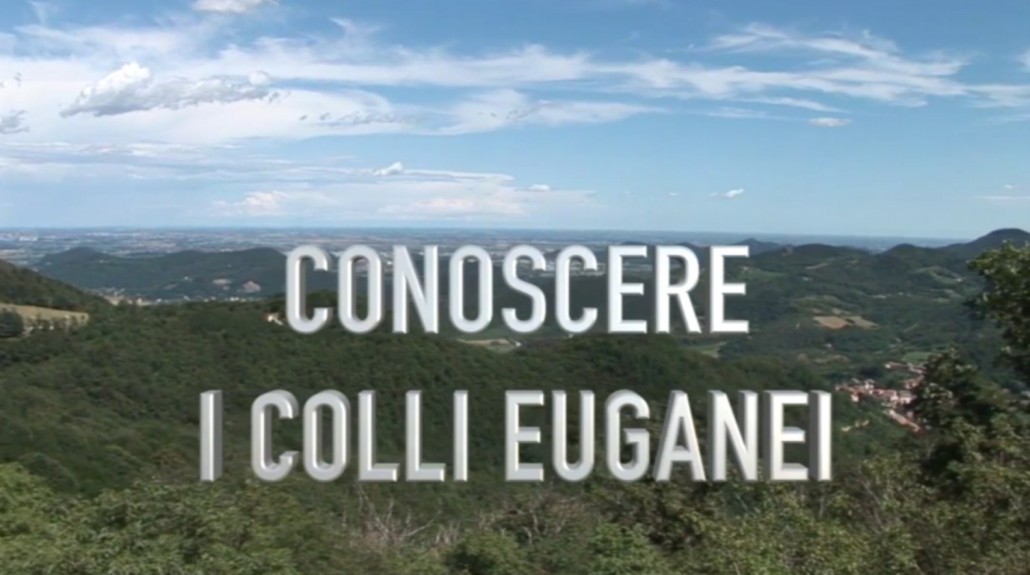Conoscere i Colli Euganei – Associazione Villa Draghi